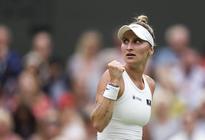 职业联赛管 职业联赛管